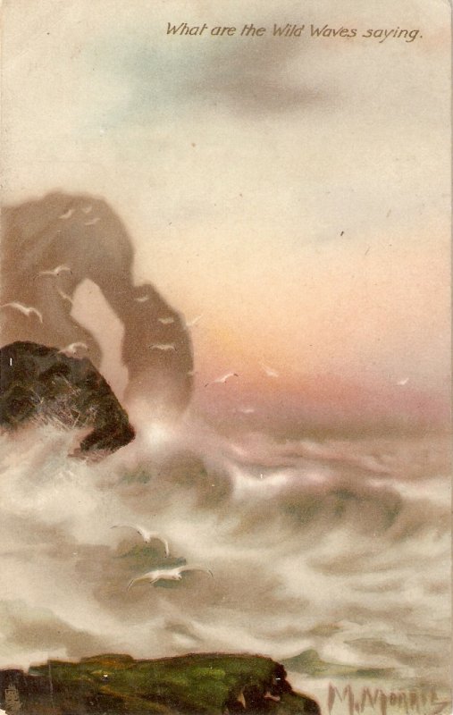 What are  the Wild Waves Saying? Tuck Oilette Connoisseur Ser. PC  # 2987