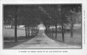 TUNNEL OF TREES LEADS TO MY OLD  KENTUCKY HOME LOUISVILLE POSTCARD (1923)