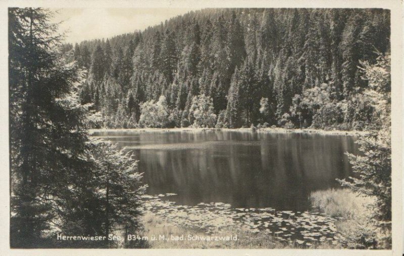 Germany Postcard - Herrenwieser See - 834m u.M.,Bad Schwarzwald - TZ11961