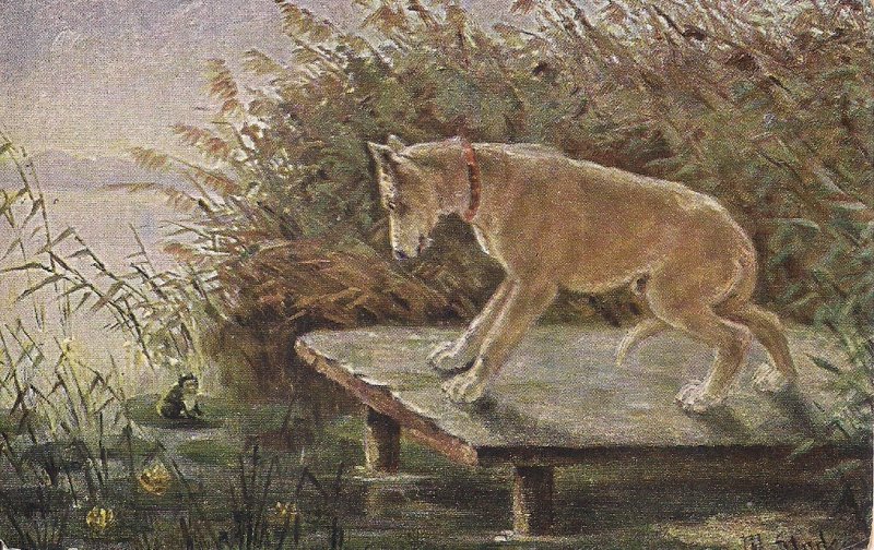 Dog Looking at Frog in Pond, Pre 1907 UK, Artist, FROG on Lily Pad