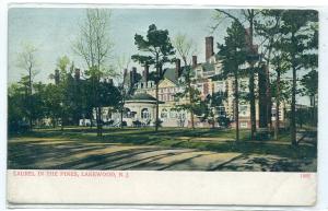Laurel in the Pines Hotel Lakewood New Jersey 1907c postcard