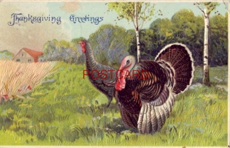 1912 embossed THANKSGIVING GREETINGS a tom and hen in field