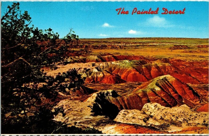 Painted Desert Colorful Arizona AZ Postcard Petley VTG UNP Vintage Unused Chrome 