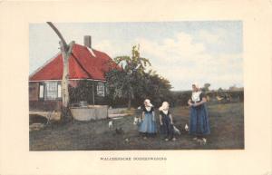 B9593 Netherlands Walchersche Beorenwoning