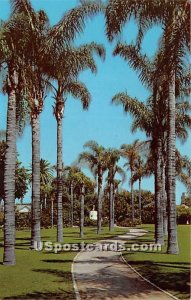 Anaheim City Park - California CA  
