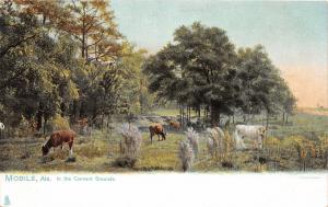 F15/ Mobile Alabama Postcard c1910 Convent Grounds Cows 7