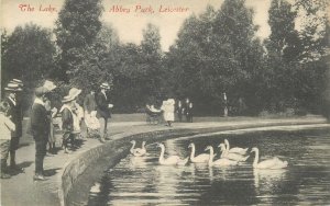 Postcard UK England Leicester, Leicestershire abbey park lake swan
