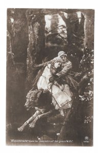 Wassnetzow Vasnetsov Prince Ivan Zarensohn Riding Gray Wolf RPH Postcard