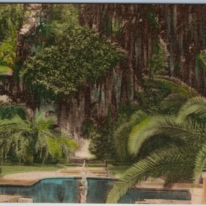 c1910s Hand Colored Park Fountain Collotype Co. Photo PC Weeping Palm Trees A196