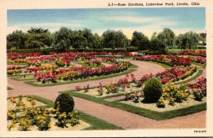 Ohio Lorain Lakeview Park Rose Gardens 1941 Curteich