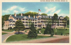Vintage Postcard 1920's Natural Bridge Hotel Building Virginia VA Structure