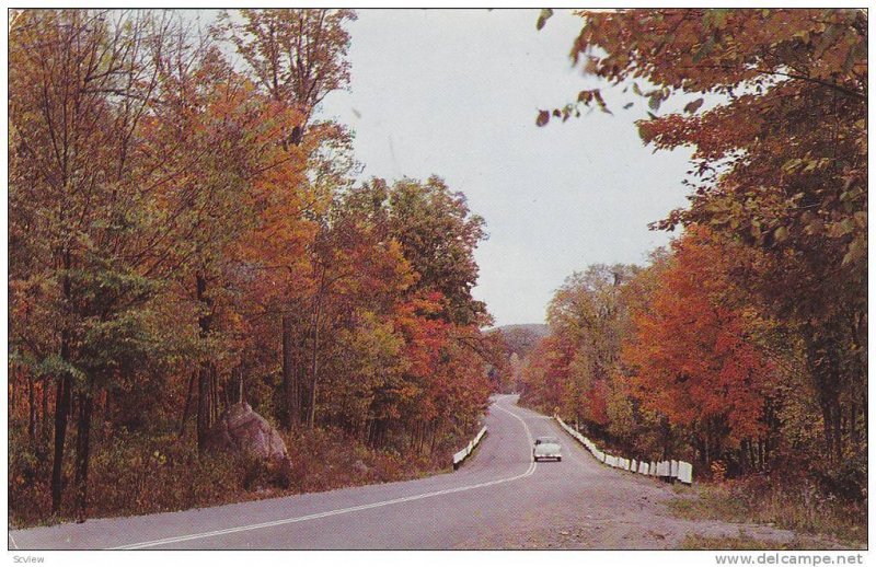 Scenic Greetings from Dauphin,  Manitoba,  Canada,  40-60s