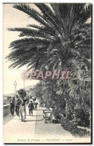 Old Postcard Riviera Ponente Sanremo Palme