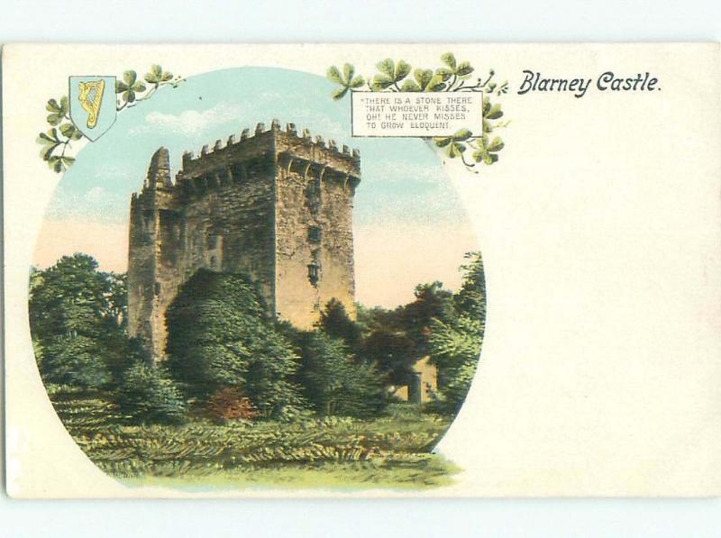 Pre-1907 NICE VIEW Blarney - Near Cork Corcaigh Ireland i5365
