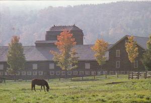 Vermont Woodstock Billings farm and Museum Misty Autumn Morning