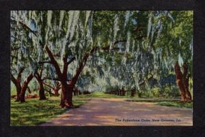 LA Pakenham Oak Trees New Orleans Louisiana Postcard Linen PC Carte Postale