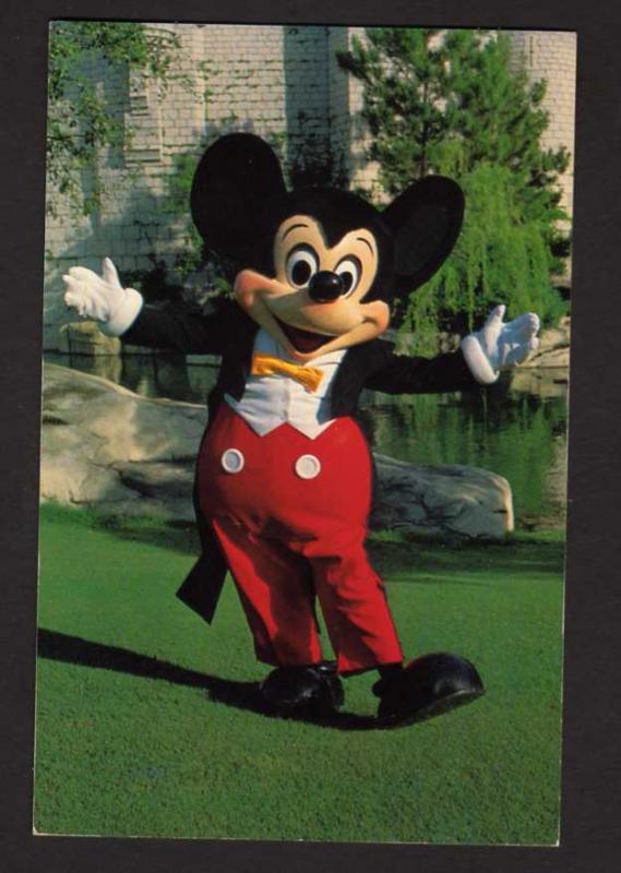 FL Mickey Mouse Walt Disney World, Amusement Park,near Orlando, Florida Postcard