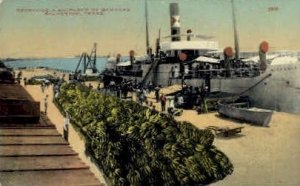 Receiving A Shipload of Bananas - Galveston, Texas