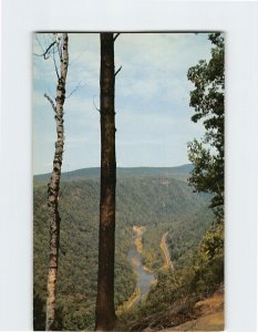 Postcard North view of Pennsylvania's Grand Canyon from Nature Trail, PA