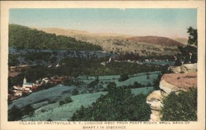 Prattsville New York NY View Wet from Pratt Rocks Vintage Postcard