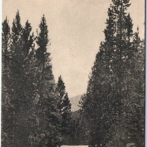 c1910s Leadville, CO Ocean to Ocean Highway Mt. Elbert Davis Drug Albertype A153