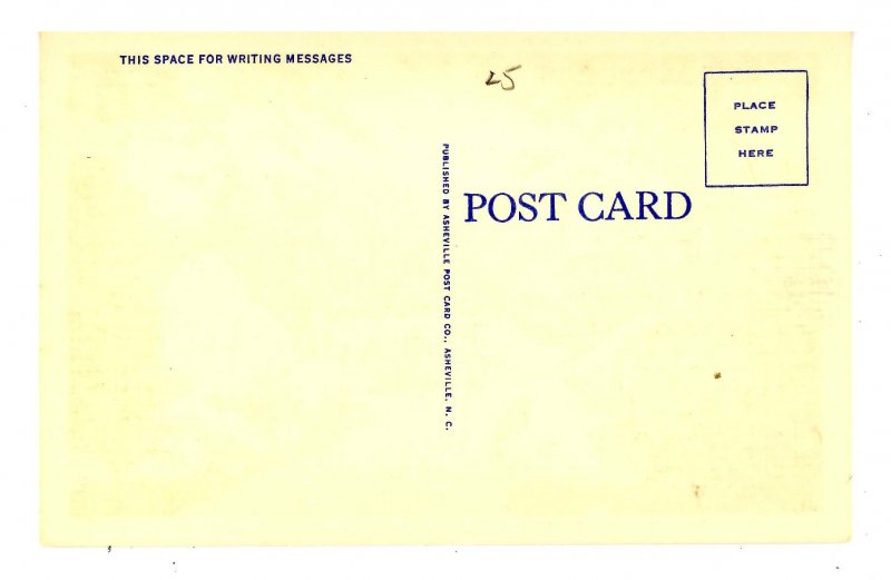 VA - Otter. Peaks & Peaceful Scene