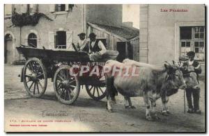 Old Postcard Folklore Pyrenees hitch of Pyrenean cattle