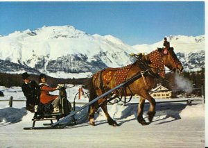 Switzerland Postcard - Engadiner Schlitteda - Ref TZ2269