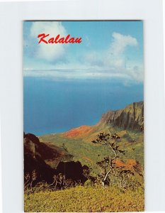 M-115296 Kalalau Lookout Kauai Valley of the Lost Tribe on Northern Coastline