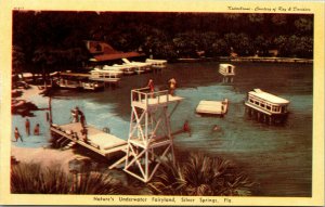 Vtg Natures Underwater Fairyland Silver Springs Florida FL Kodachrome Postcard