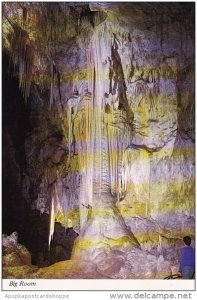 New Mexico Carlsbad Big Room Carlsbad Caverns National Park