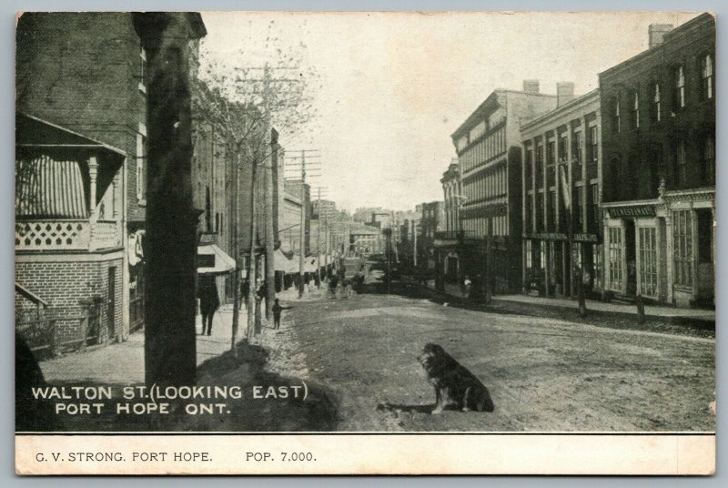 Postcard Port Hope Ontario c1907 Walton Street Looking East G. V. Strong