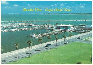 Corpus Christi TX Texas SHORELINE DRIVE Sea Wall-Yacht Basin~Marina 4X6 Postcard