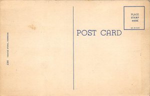 Pink Beach Bermuda Postcard