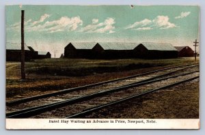 J96/ Newport Nebraska Postcard c1910 Baled Hay Waiting For Price Farming 64