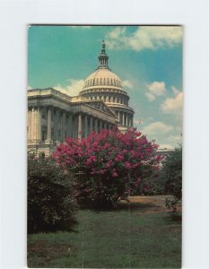 Postcard United States Capitol, Washington, District of Columbia