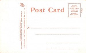 Rustic Pavilion  Springfield, Massachusetts Postcard