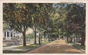 Florida Tampa Nebraska Avenue