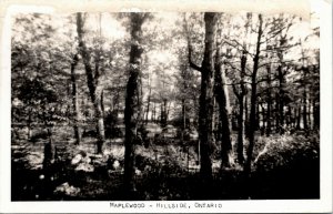 EKC RPPC Real Photo Postcard ON Hillside Maplewood in the Summer 1940s K26