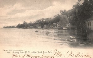 Vintage Postcard 1906 Looking South From Park Cayuga Lake New York Rotograph