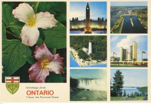 Greetings From Marten River Ontario ON Trillium Flower Multiview Postcard D20