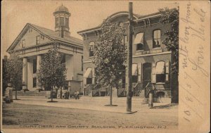 Flemington New Jersey NJ Court and County Building c1910 Vintage Postcard