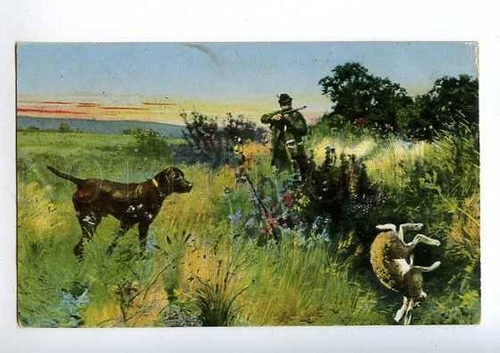 183024 RUSSIA Hunt rabbits dog POINTER summer Vintage postcard