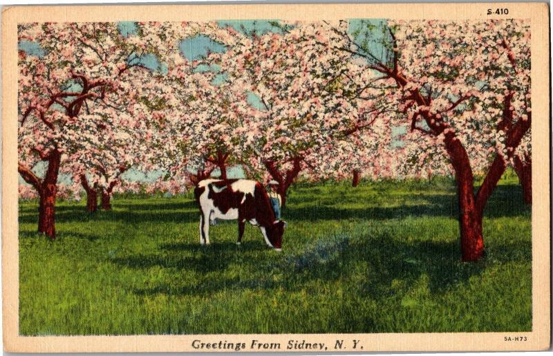 Greetings from Sidney NY Vintage Postcard P17