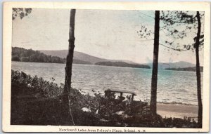 VINTAGE POSTCARD VIEW OF NEWFOUND FROM LAKE PRINCE'S PLACE AT BRISTOL N.H. 1940
