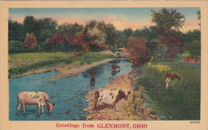 Ohio Greetings From Glenmont