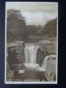 Newcastle upon Tyne WATERFALL Jesmond Dene c1920s RP Postcard