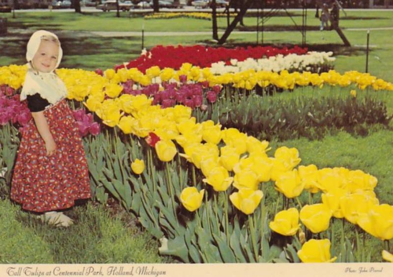 Michigan Holland Tall Tulips At Centennial Park