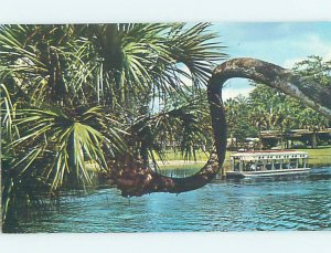 Pre-1980 SILVER SPRINGS SCENE Ocala Florida FL AF9805