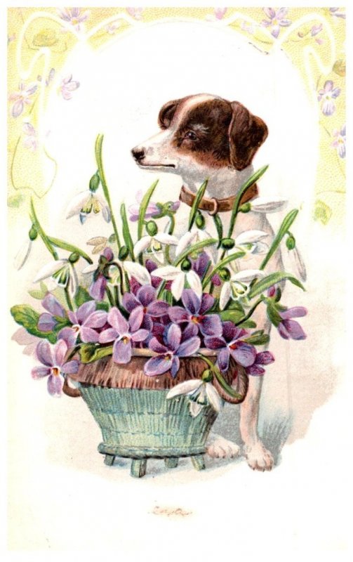 Dog , basket of Flowers